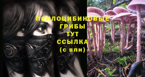 индика Осинники