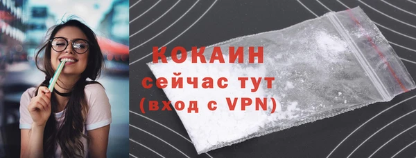 ALPHA PVP Остров
