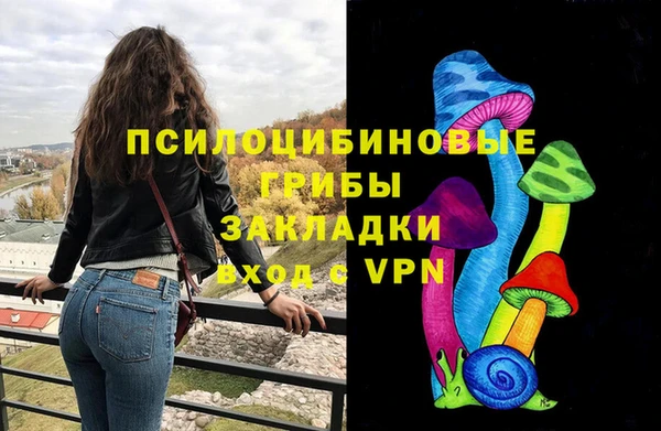 индика Осинники