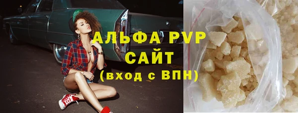 индика Осинники