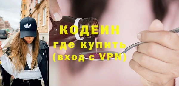 индика Осинники