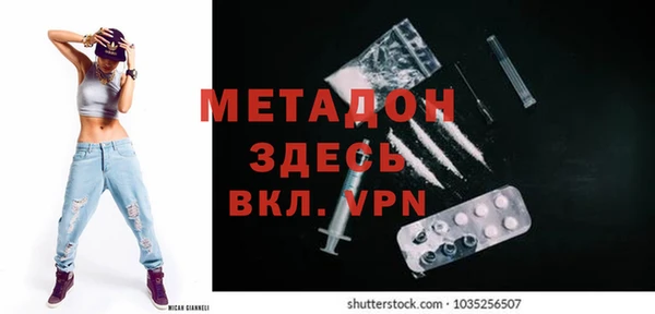 индика Осинники