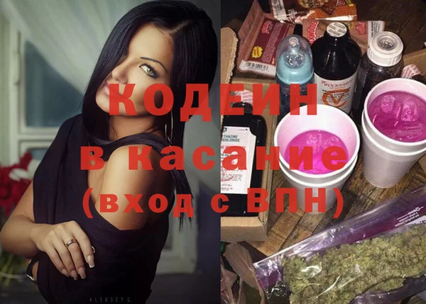 индика Осинники