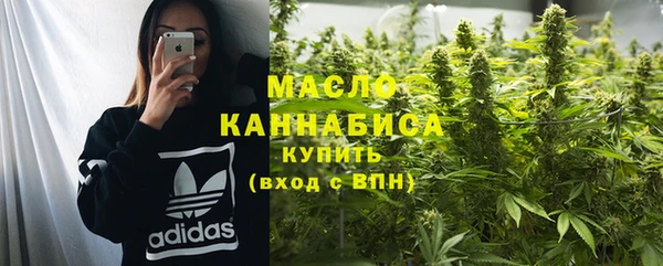 индика Осинники