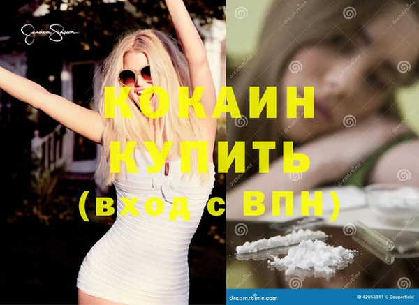 индика Осинники