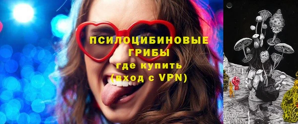 индика Осинники