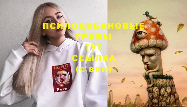 каннабис Осташков
