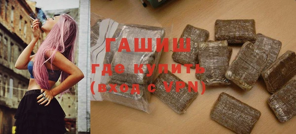 индика Осинники