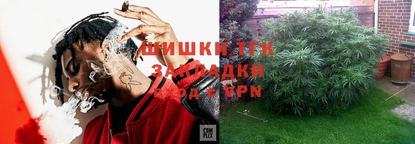 индика Осинники