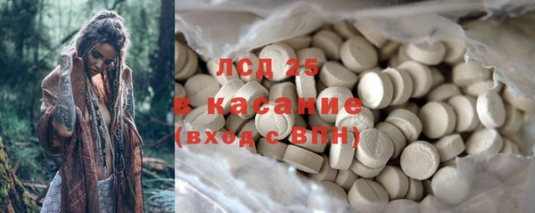 индика Осинники