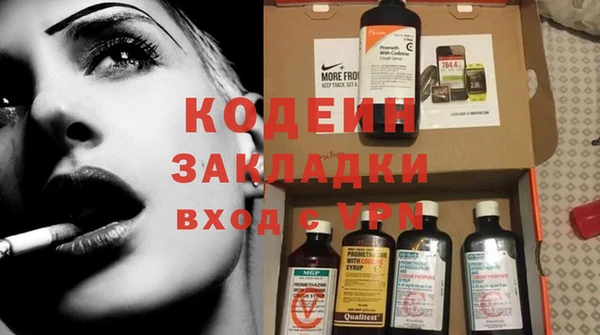 индика Осинники
