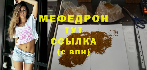 индика Осинники