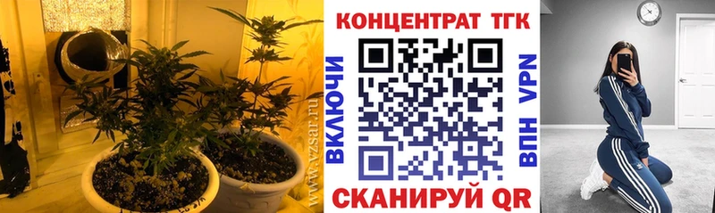 как найти закладки  Ветлуга  ТГК Wax 